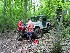 Ready to Winch fallen tree